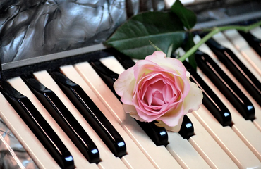 미스터트롯3-투표하기