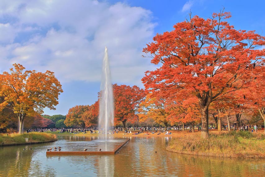 일본 여행 9월 10월 11월 가을 날씨 여행