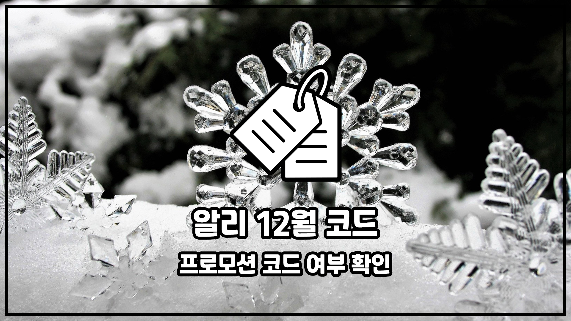알리 세일 코드 12월 프로모션 코드 정리