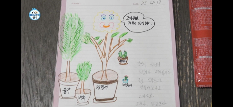 나 혼자 산다 492회