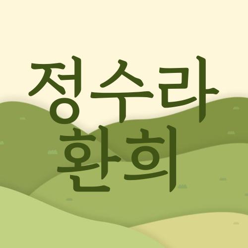 정수라 환희