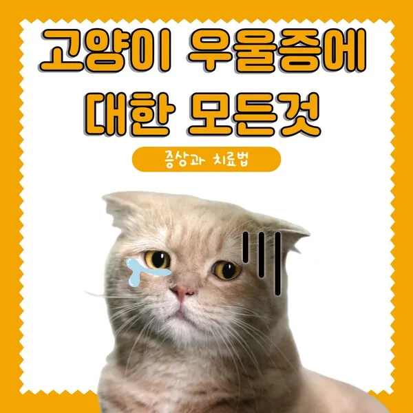 고양이 우울증과 무기력증 증상_2