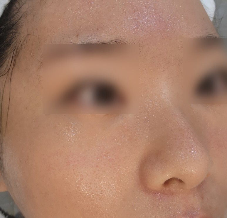 레가토2 후기