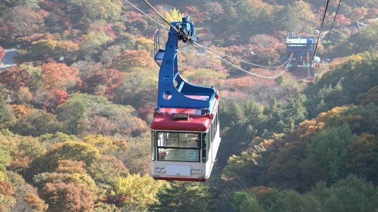 내장산-케이블카