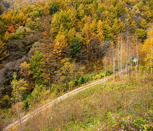 덕유산자연휴양림