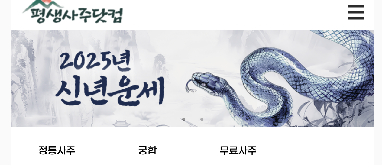 2025 신년운세