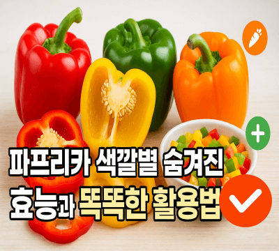 파프리카 색깔별 효능과 똑똑한 활용법 썸네일
