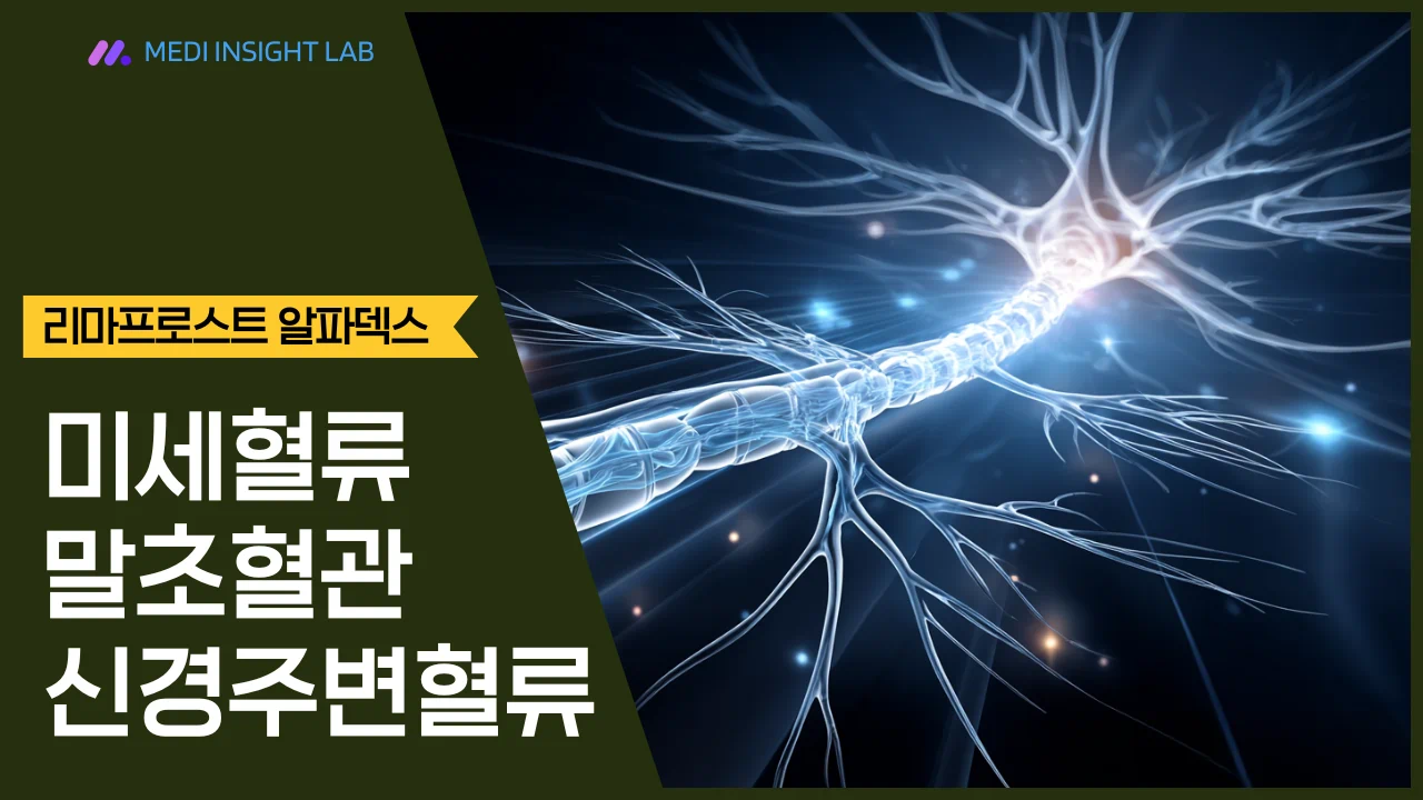 신경 주변 혈류가 개선되는 의료 인포그래픽, 척추와 신경, 하지로 이어지는 혈류 흐름