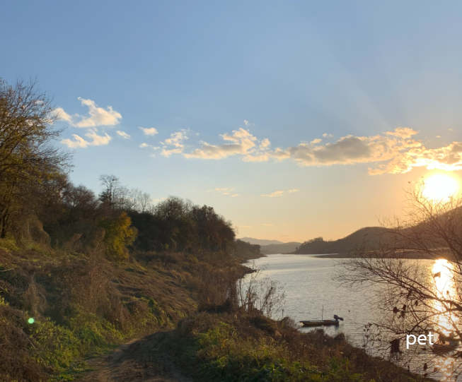 경기-파주-강나루야영-예약-방법-애견-동반-가격-주소-시간-후기