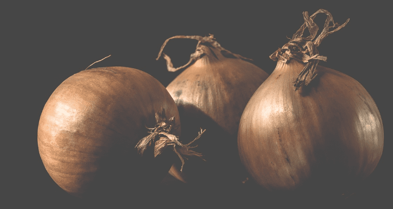 내장 지방 빼는 음식 양파