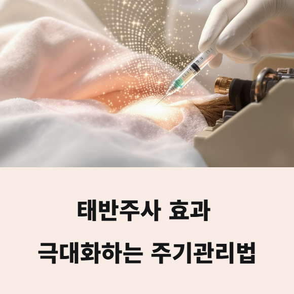 태반주사 맞는 주기