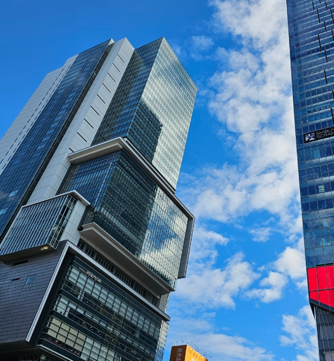 시부야 히카리에