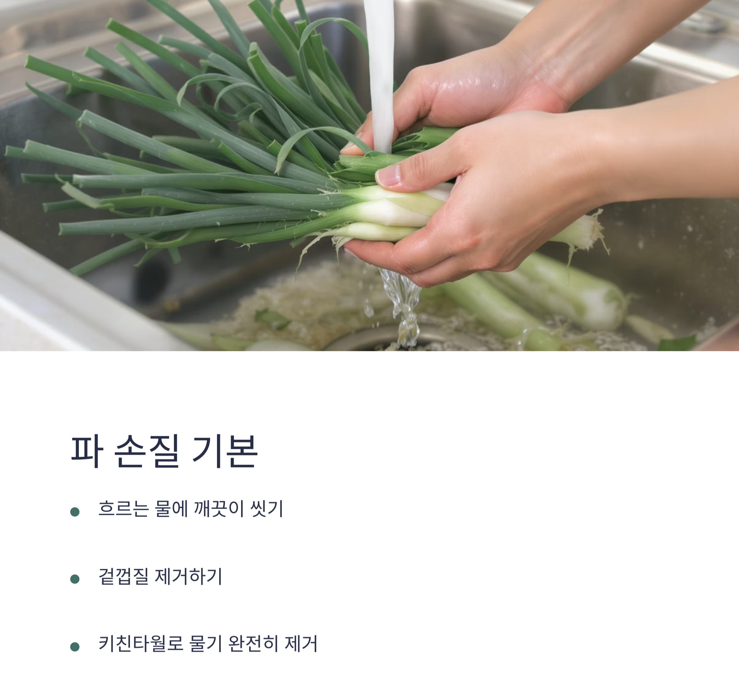 요리 초보도 쉽게! 파 손질 후 냉동&middot;냉장 보관법 완전정복