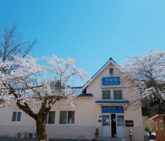 벚꽃 명소 추천