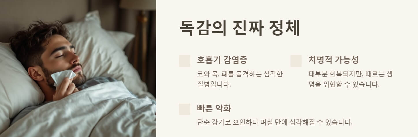 독감 걸리는 이유