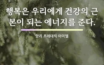 아미엘의 생애 명언 인생 속담_2