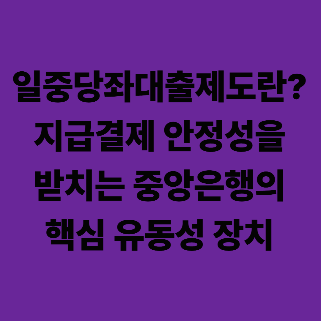 일중당좌대출제도란? 지급결제 안정성을 떠받치는 중앙은행의 핵심 유동성 장치