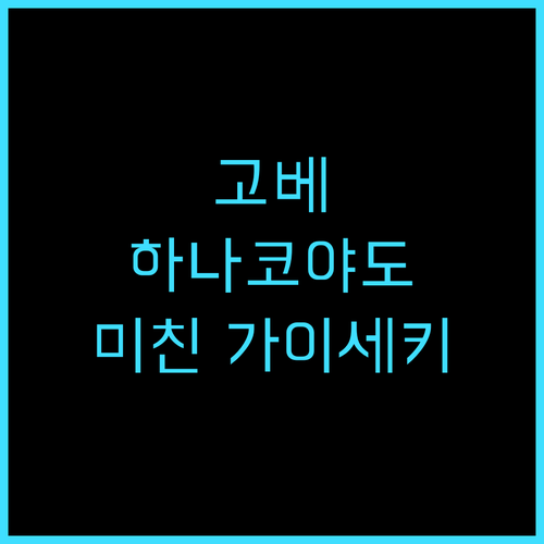 호텔 하나코야도 후기 일본 전통 료칸..