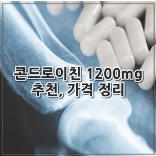 콘드로이친 1200mg 추천, 가격 정리