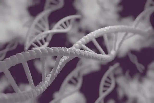 체중 감소의 과학