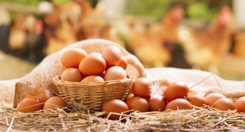 구내염에 좋은 음식