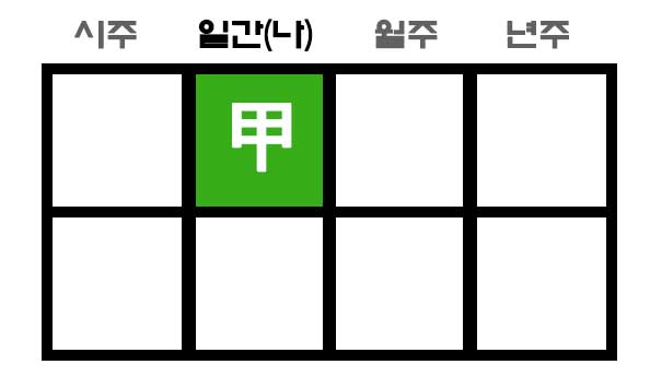 만세력 갑목 사주 구성