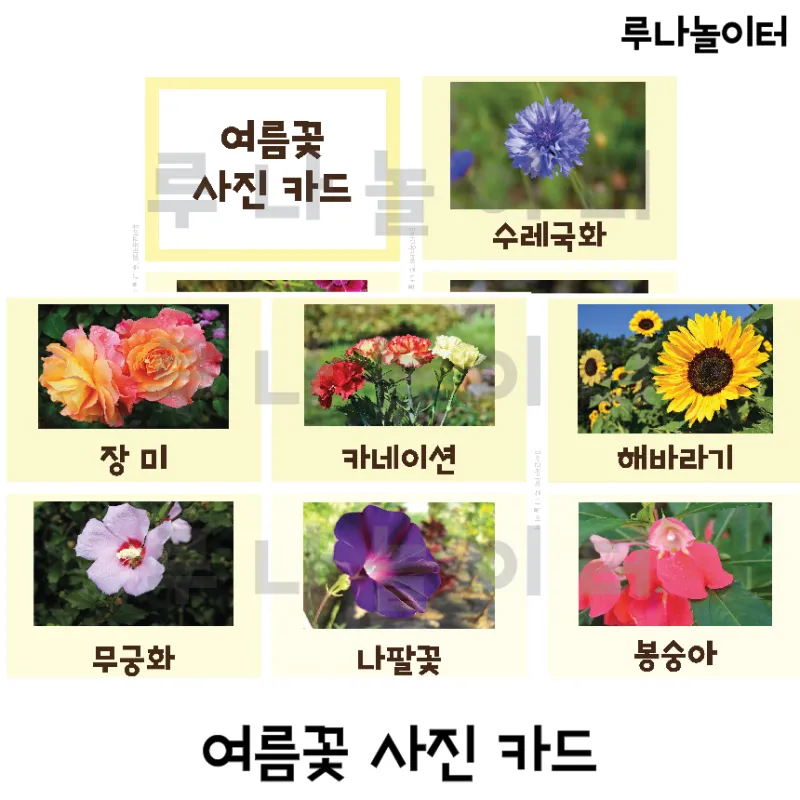 여름꽃 종류 모음 여름 꽃나무 추천 12가지 정리_2