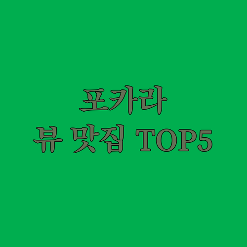 네팔 포카라 히말라야 뷰 숙소 추천 ..