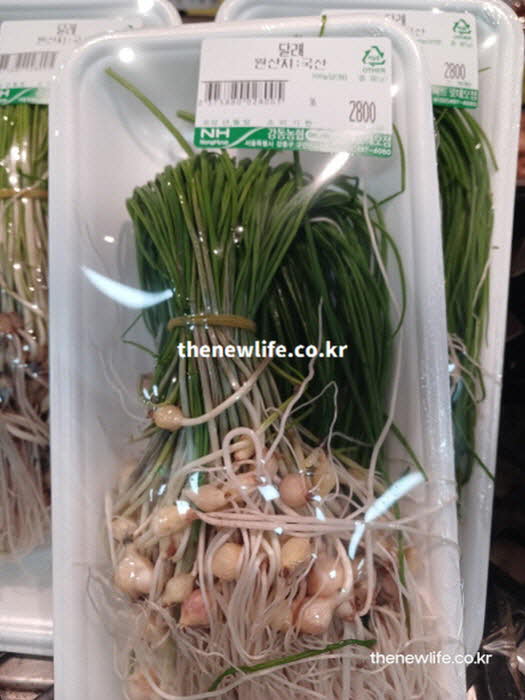 달래 효능을 높이는 섭취 방법을 보여주는 실사진