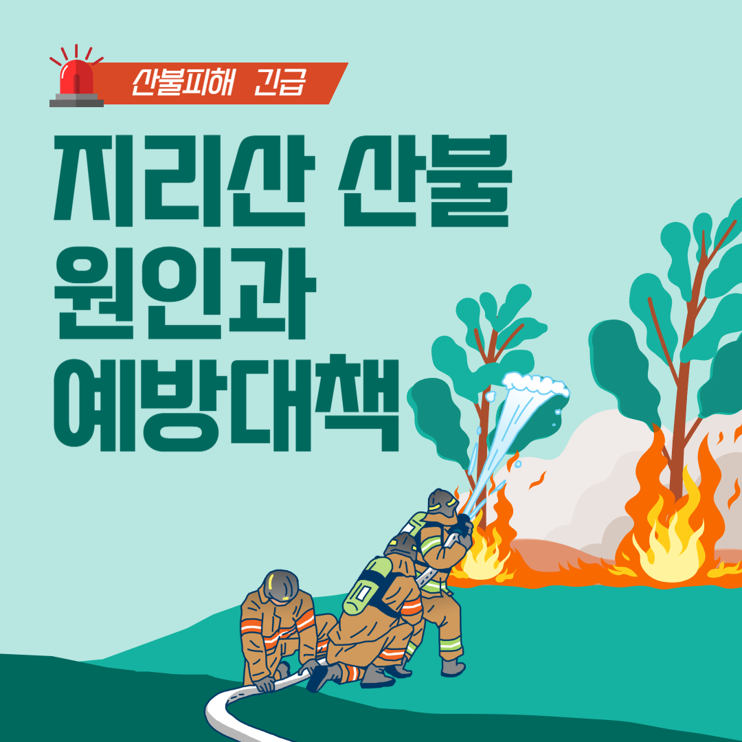 지리산 산불의 원인과 예방 대책( 산불 기부금, 산불 피해 긴급 모금 )