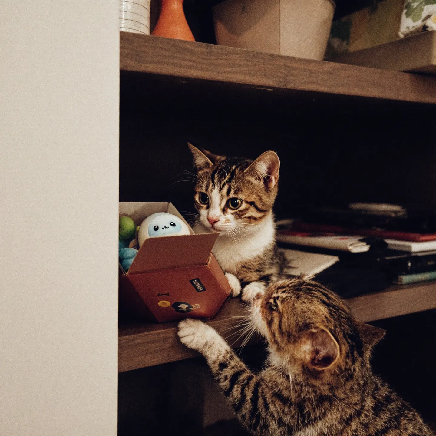 호기심과 탐구심