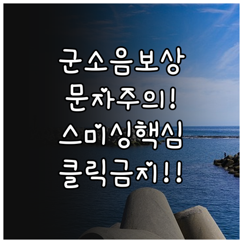 군소음 피해 보상금 가짜 안내 문자 ..