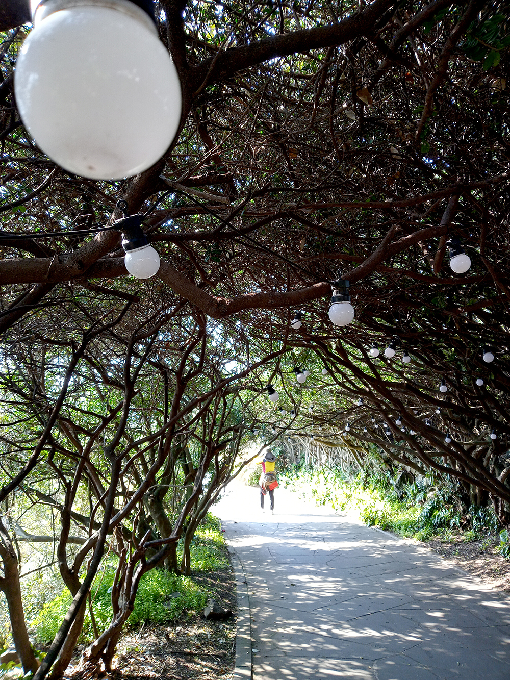 올레4코스&#44; 표선해변에서 남원올레까지