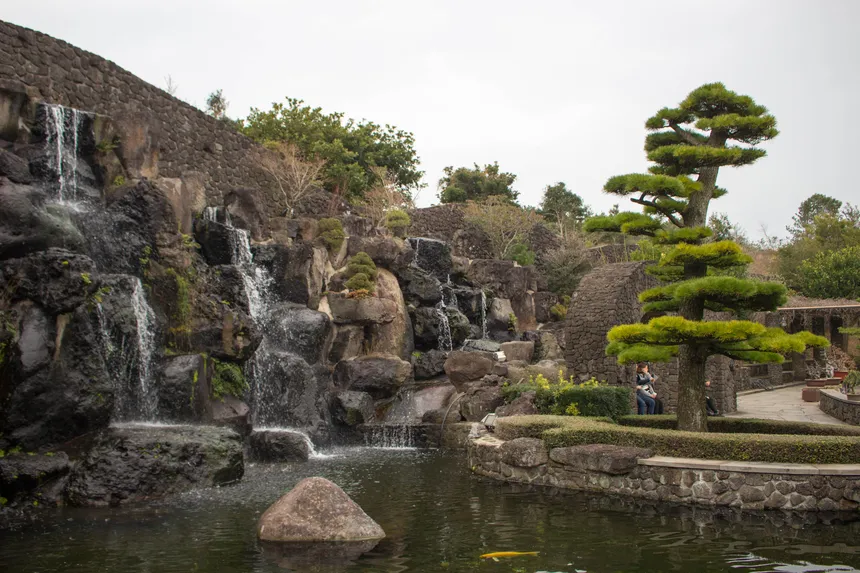 제주도 생각하는정원의 고요한 분재 정원에서 자연을 느끼는 여유로운 순간