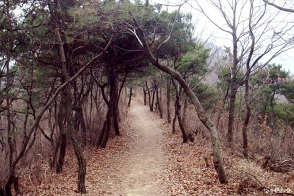계룡 가볼만한곳 베스트 10