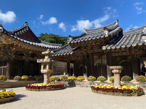 양산 통도사 수목원 관람 가이드｜계절 꽃&middot;산책 동선&middot;포토존&middot;이용정보 총정리