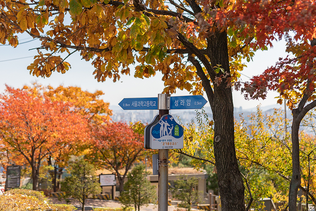 혜화문
성북동
한양도성길
백악구간
서울여행
서울단풍
가을단풍
단풍
성벽
와룡공원