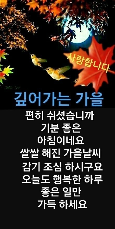 깊어가는 가을