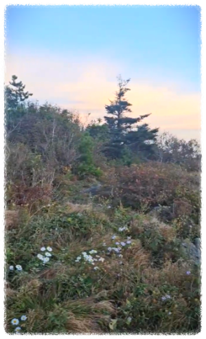 연하봉