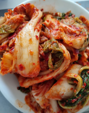 생방송투데이 34년 전통 손칼국수 수원 맛집