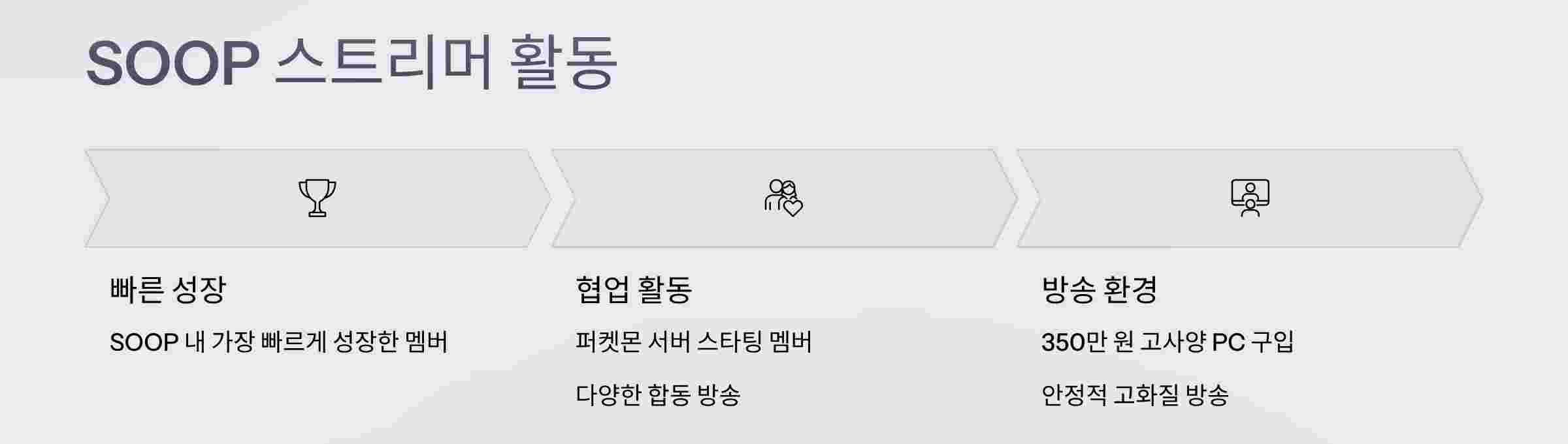 스트리머활동
