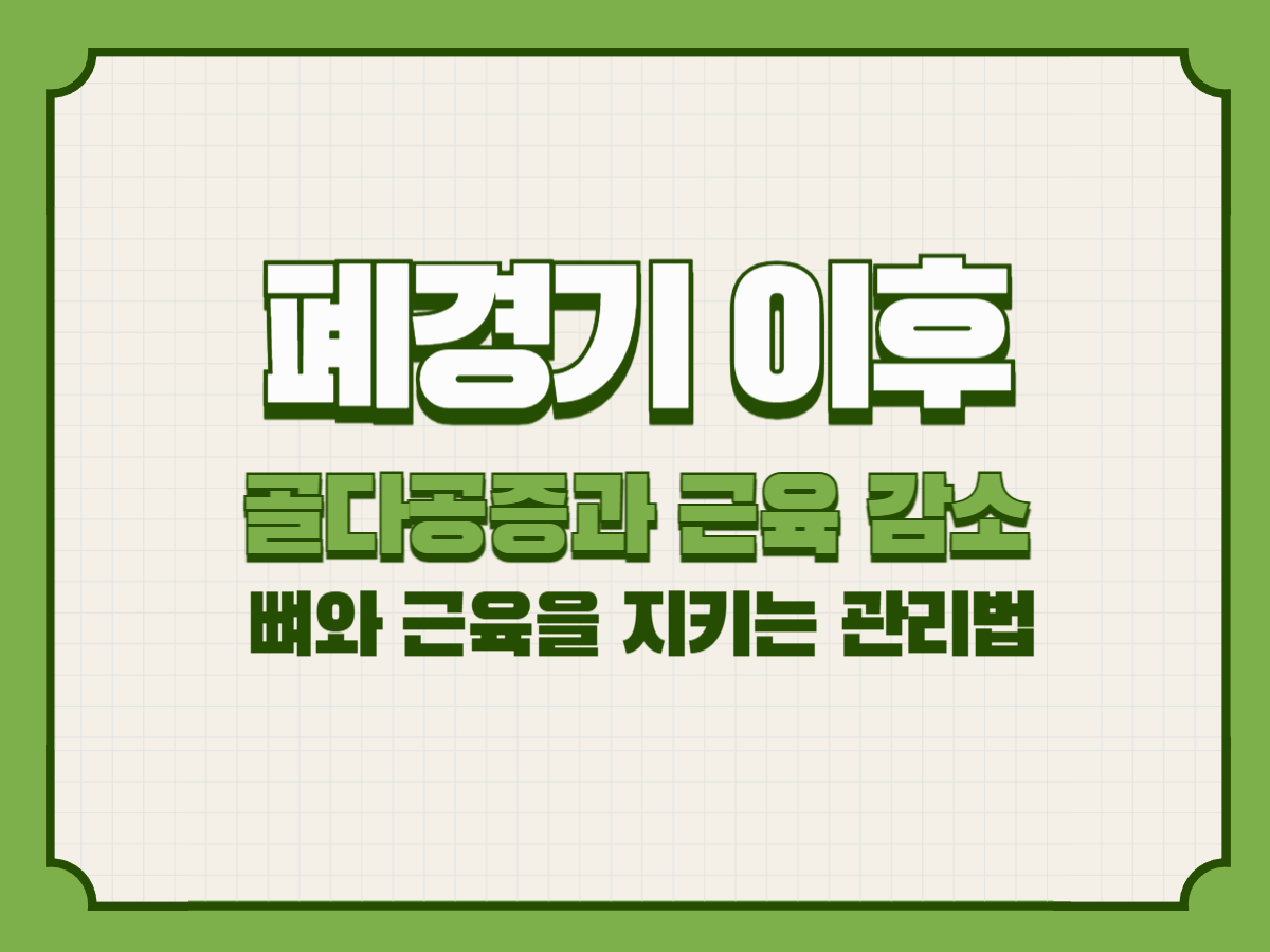 폐경기 이후 골다공증과 근육 감소 – 뼈와 근육을 지키는 관리법