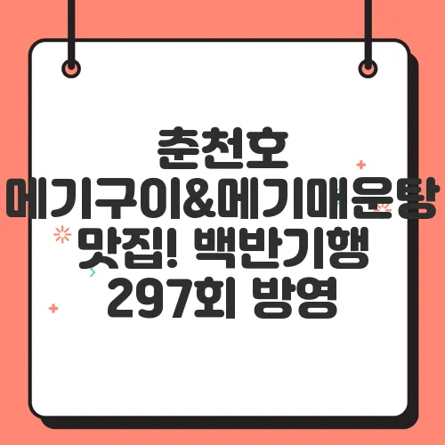 춘천호 메기구이&메기매운탕 맛집! 백반기행 297회 방영