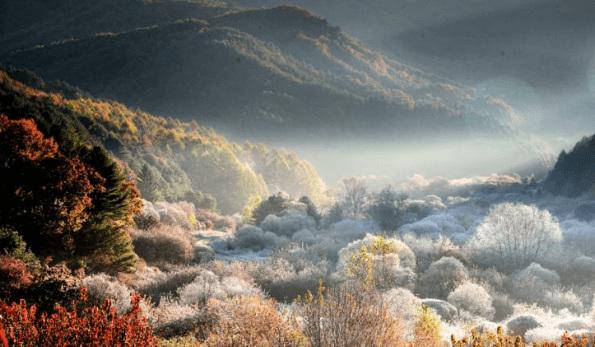 단풍구경-가볼만한-곳-비밀의정원