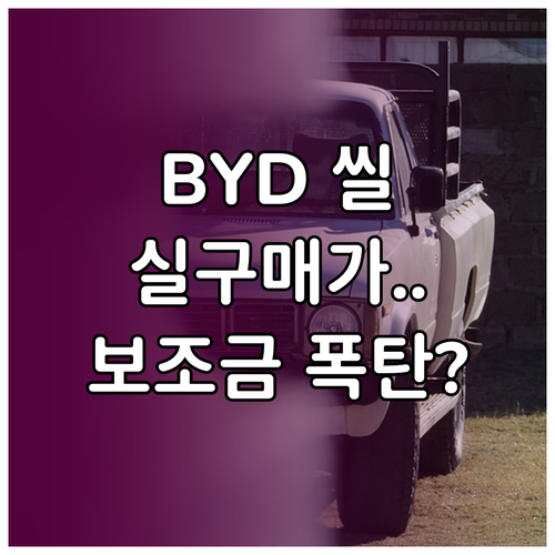 BYD 씰 Dynamic AWD 실구..