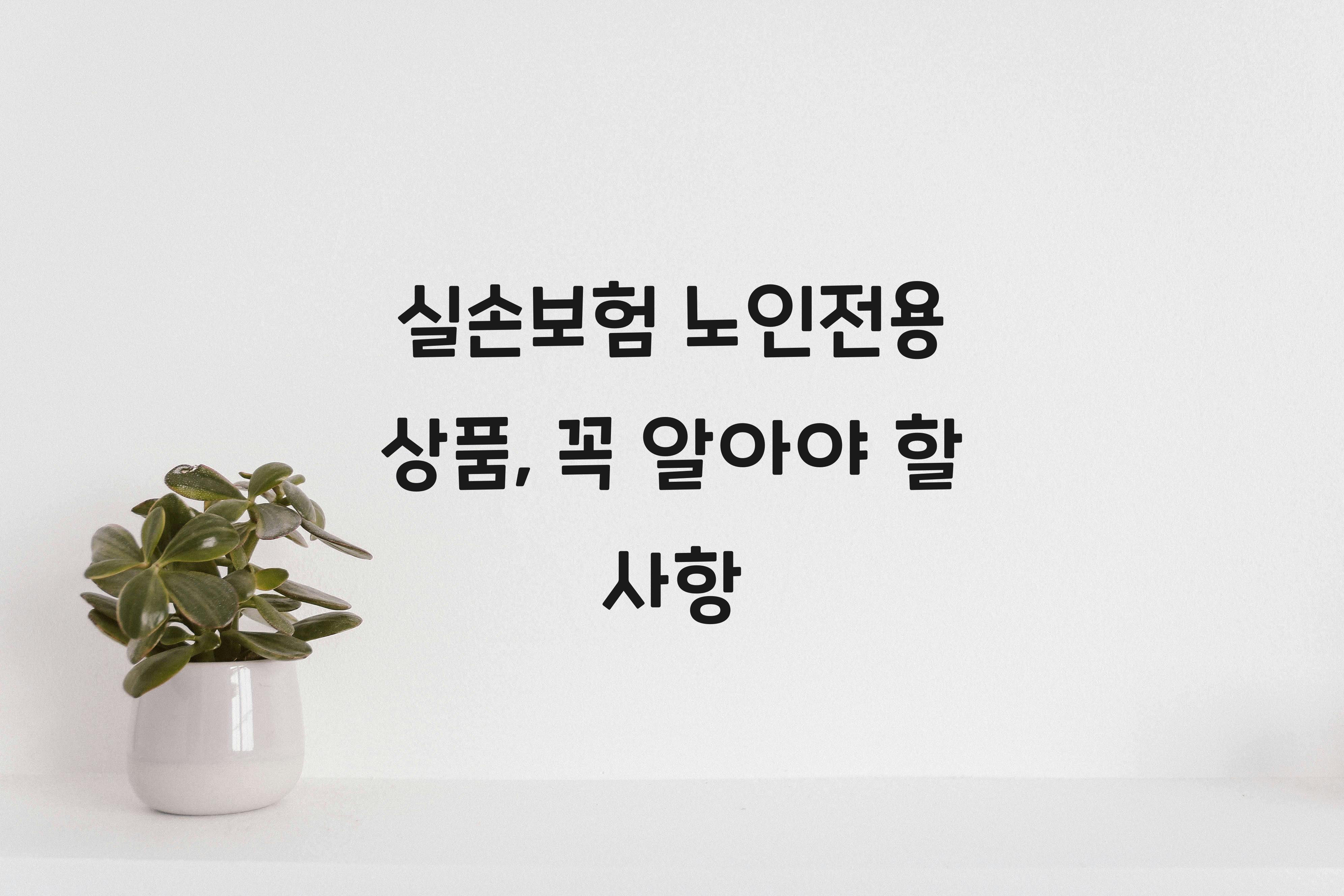 실손보험 노인전용 상품