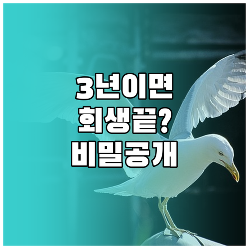 개인회생 3년 단축 조건과 청산가치 ..