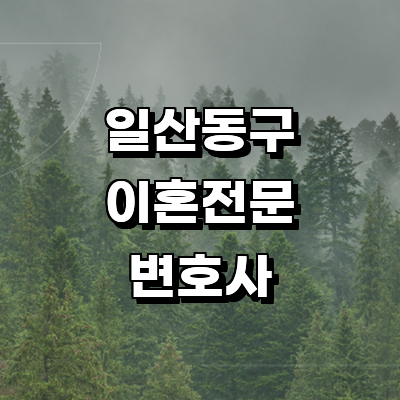 고양 일산동구 이혼 변호사