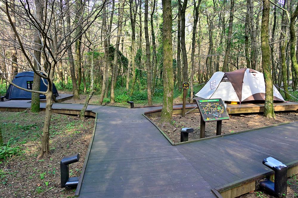 제주 붉은오름 자연휴양림 숲속야영장