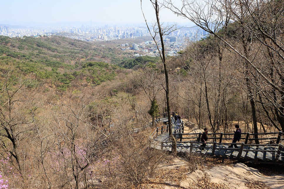 청와대 개방 예약 관람 신청 및 주차장 가는길
